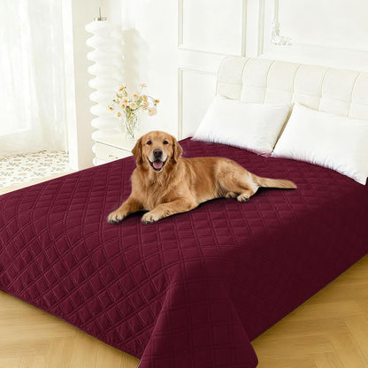 Waterproof Dog Blanket, Non-Slip Soft Pet Bed Cover, Couch Cover for Dogs Washable, Protects Sofa, Furniture, Crate, Car, Tear Resistant Leakproof Pet Blanket (30x70 Inch, Dark Grey)