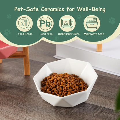 Ceramic Tilted Raised Cat Bowl - Elevated Food Bowl for Indoor Cats & Small Dogs - Shallow Wide Whisker-Friendly Design - Pet Dish Suitable for Feeding Dry, Wet, Treats & Canned Food - White