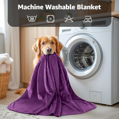 LOOBANI Waterproof Blanket for Bed: Reversible Soft Flannel Twin Bed Blanket 60" x 80", Leakproof Throw Spill-Proof Dog Pet Blanket for Couch Cover, Movie Time, Camping, Travel, Grey