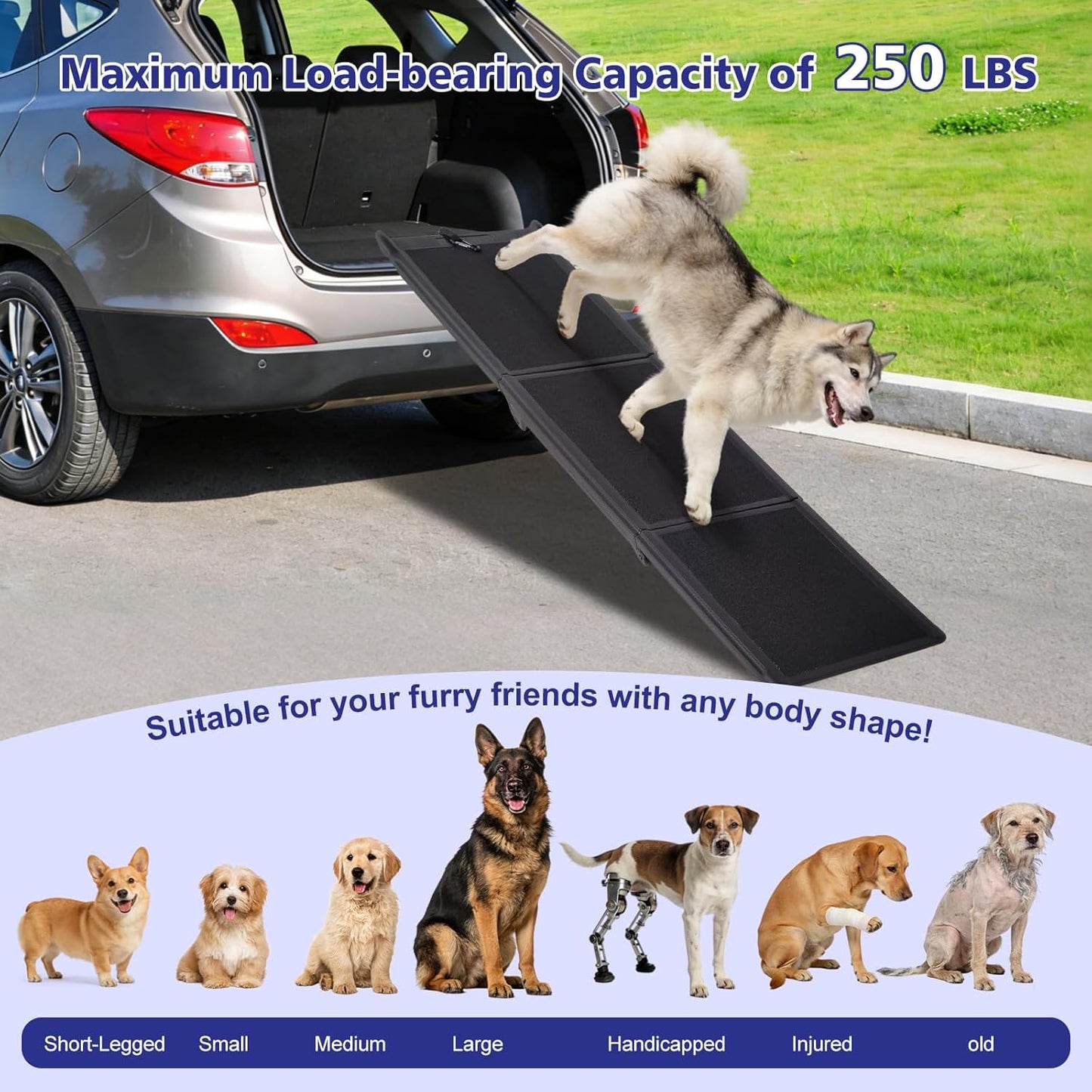 Foldable Dog Ramp for Car, 71" L & 17" W Folding Dog Ramps with Non-Slip Surface, Pet Ramp for SUV & Truck, Portable Dog Step Ramp for Large Dogs, 250 LBS Weight Capacity