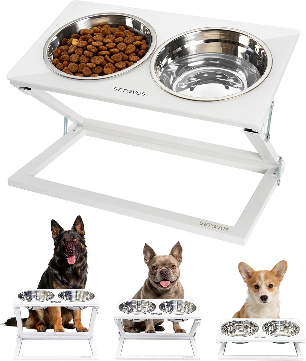 Elevated Dog Bowls, Adjustable Raised Dog Bowl Stand with 2 Stainless Steel Food Bowls 20°Tilted Water Bowls for Medium Small Sized Dogs (Black, Medium)