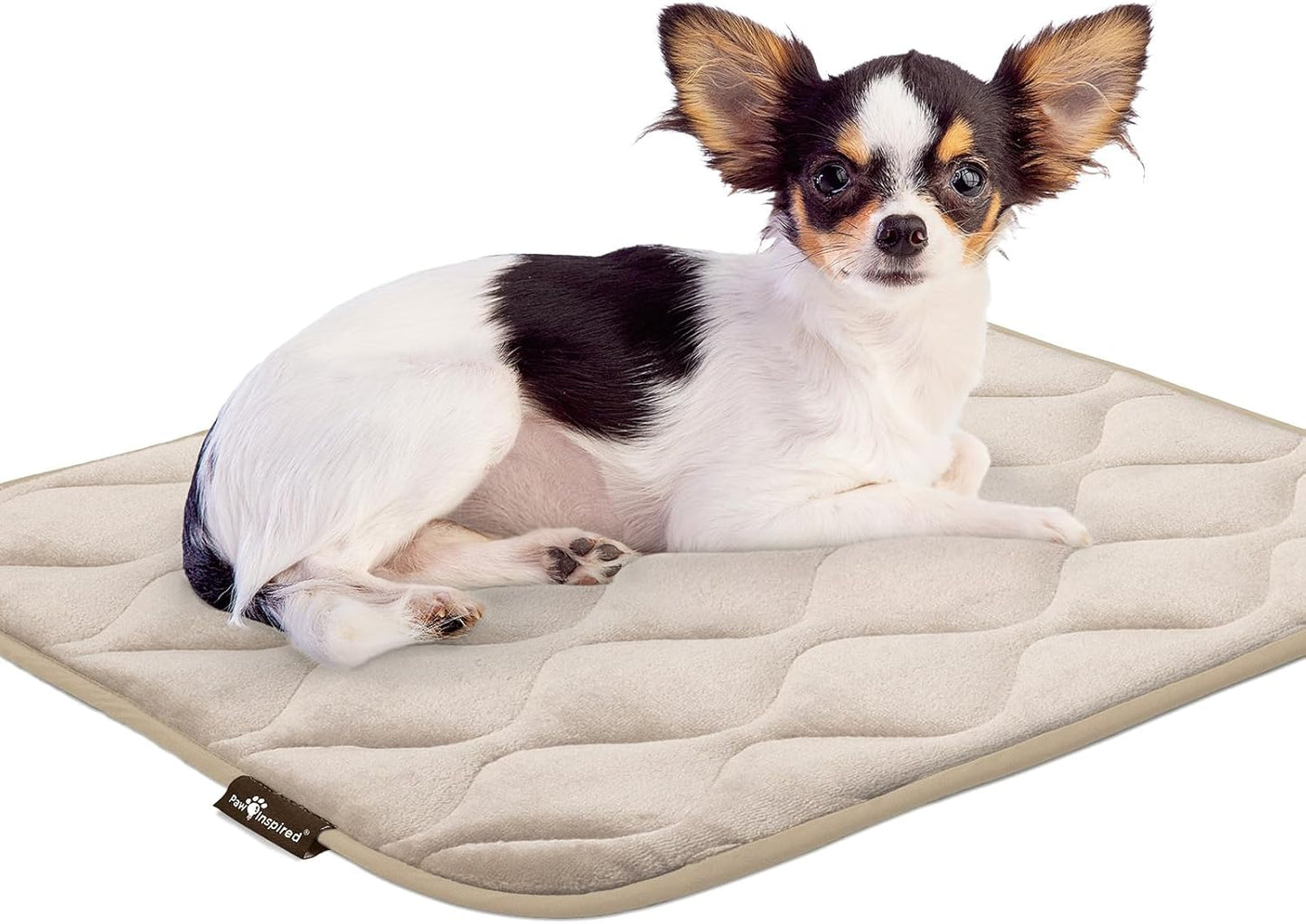 Paw Inspired Washable Padded Crate Mats for Dogs | 29” x 18” Pad, Fits 30-inch Kennels | Leakproof, Waterproof Bottom, Plush Pet Beds (Gray)