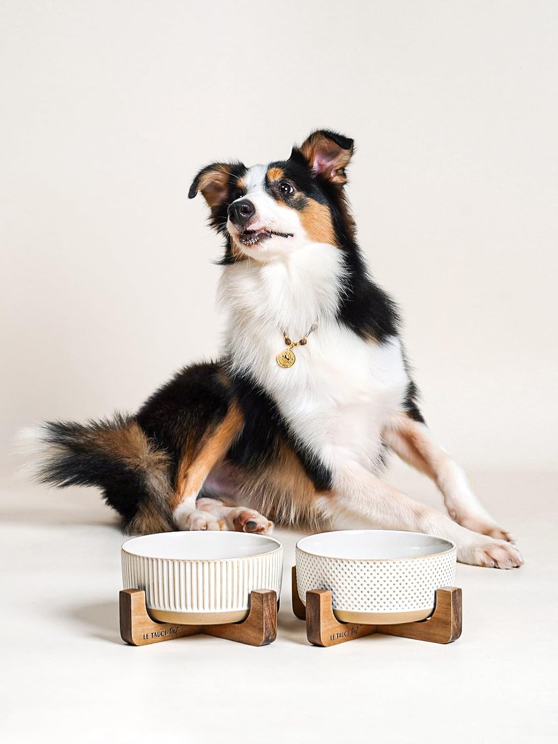 LE TAUCI PET Ceramic Dog and Cat Bowl Set with Acacia Wood Stand - 2 Cup Weighted Non-Slip Food and Water Bowls for Small Dogs & Cats, Lines + Dot