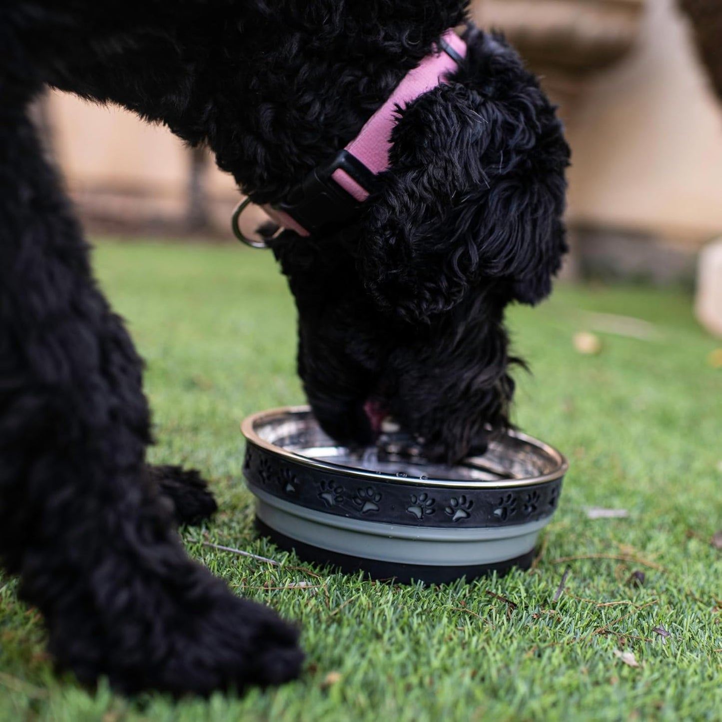 Loving Pets Corsa Dog Bowls- Stainless Steel Dog & Cat Bowls - Spill Proof Dog Food Bowl, Cat Bowl, Puppy Essentials & Pet Supplies Great for Home & Travel (Small 10-20 lbs, Rapid Blue)