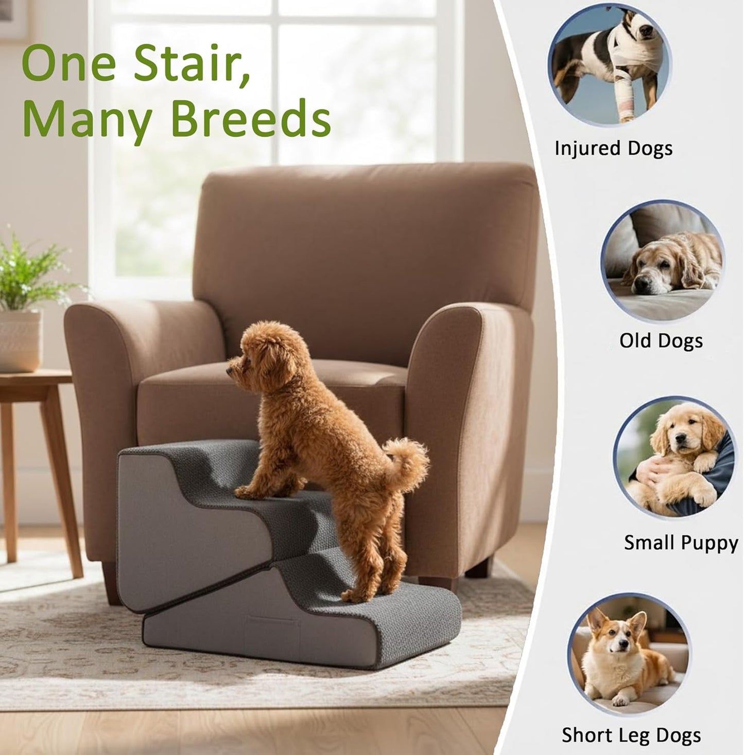 Dog Stairs for Bed & Couch – BuddyRamp 2-in-1 Foldable Dog Stairs and Ramp, 3-Step Pet Stairs Converts to Gentle Ramp, Non-Slip Soft Foam Steps for Small Dogs & Senior Pets