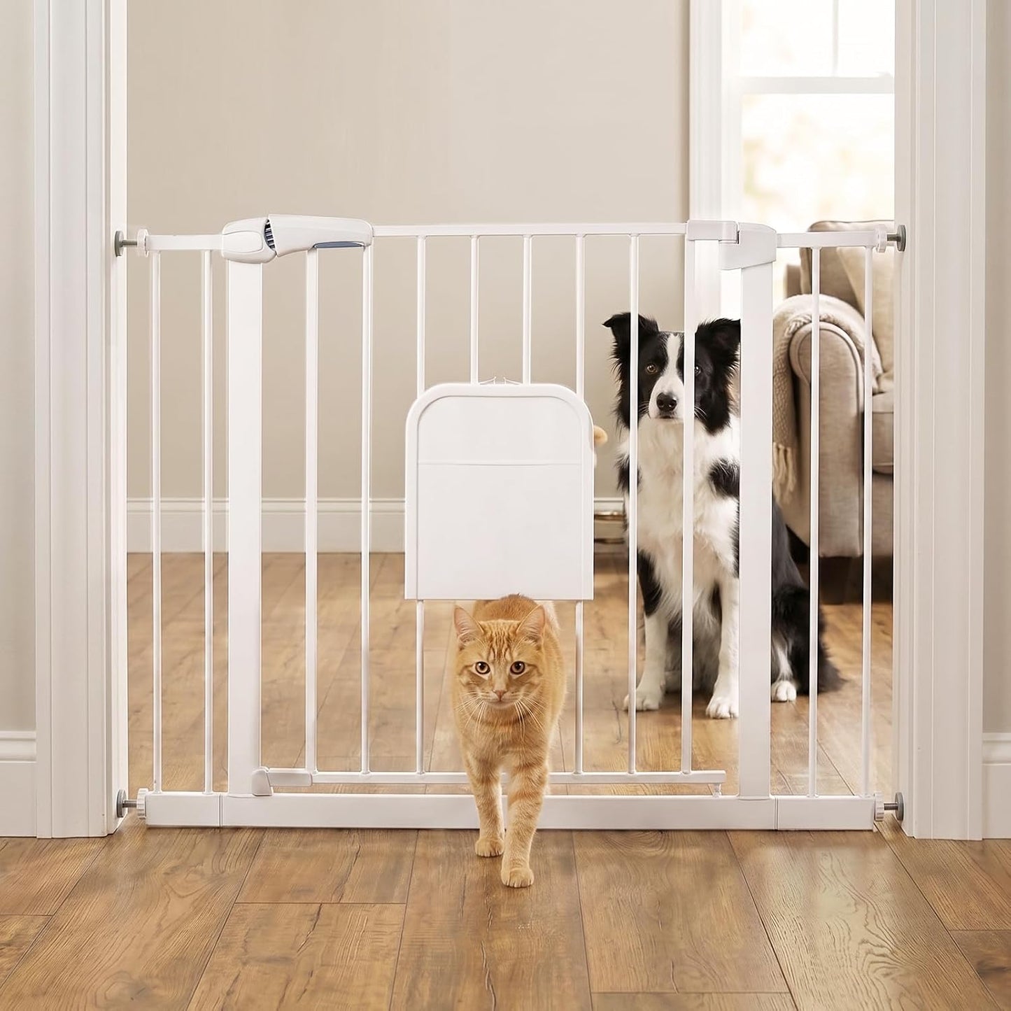 Metal Pet Gate with Cat Door, Adjustable Dog Gate for Doorways & Stairs, Pressure Mounted, Auto-Close, No Tools Needed, 31-46 Inches, Black