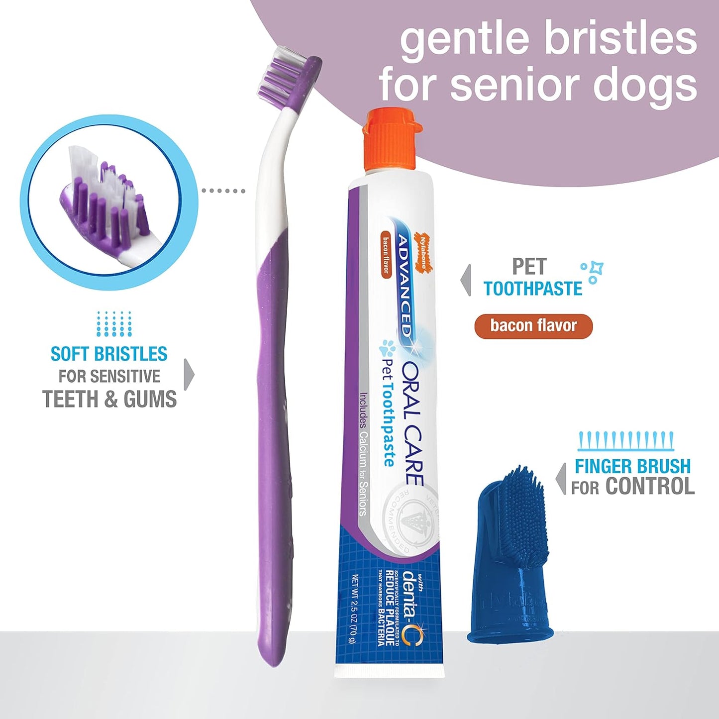 Nylabone Advanced Oral Care Dog Dental Kit Original Flavor 2.5 oz.