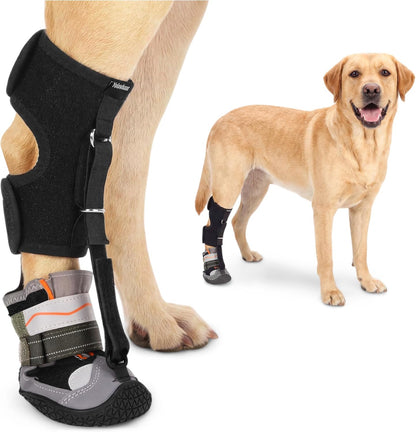 Drop Foot Brace & No Knuckling Boot Brace for Dogs, Adjustable Toe Grips for Senior Dogs Stop Dragging, Dog Recovery Boot for Injured Paw, Dog Splint for IVDD, Arthritis, Senior Mobility(M)