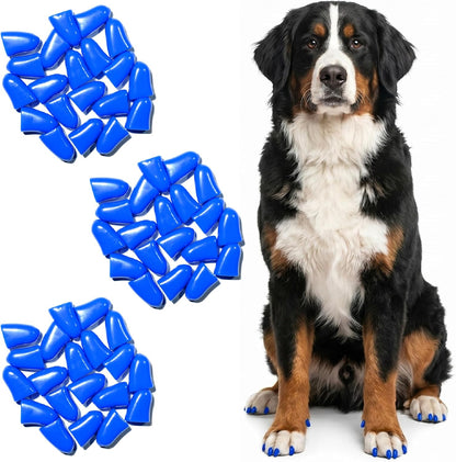 zetpo Dog Nail Caps & Claw Caps (60 pcs) - Anti Slip Dog Toe Grips & Covers for Hard Floors - Instant Traction & Mobility Support for Senior Dogs - Stops Scratches & Reduces Floor Noise (Blue, XXL)