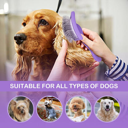Dog Slicker Brush for Golden Doodle Grooming Kit - Dematting Brushes for Goldendoodles, Labradoodles, Poodles - Pet Hair Brush for Medium & Long Haired Dogs - Large (Blue)