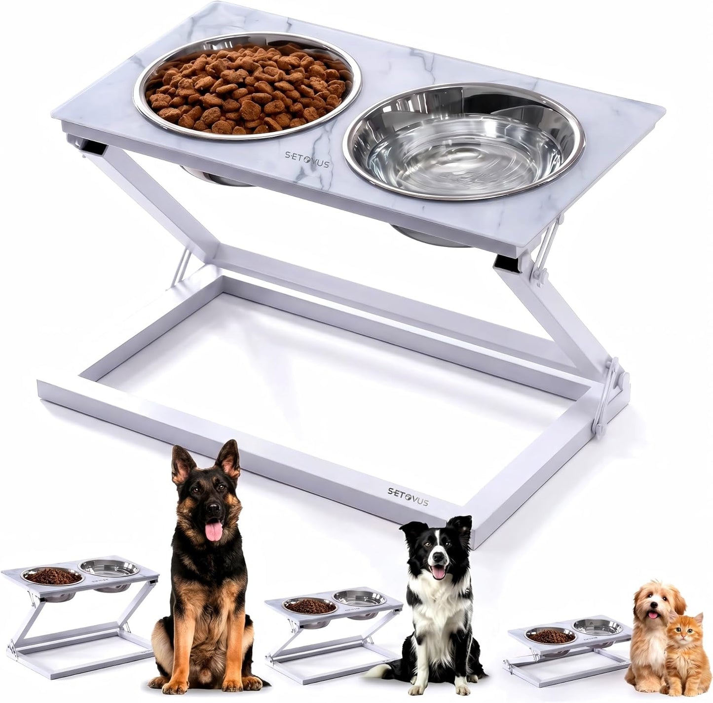 Elevated Dog Bowls, Adjustable Raised Dog Bowl Stand with 2 Stainless Steel Food Bowls 20°Tilted Water Bowls for Medium Small Sized Dogs (Black, Medium)