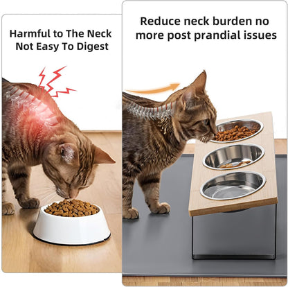 Upgraded Elevated Cat Bowls with Food Mat,15°Tilted Stand Anti Vomiting Raised Cat Dishes for Food and Water,2 Stainless Steel Bowls for Cats and Puppy