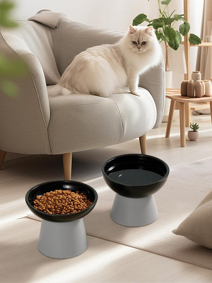 LoeJan Elevated Cat Food and Water Bowls Set, Extra Wide and Raised Ceramic Bowls, Anti-Vomit Whisker-Free Pressure Cat Feeder for Kittens to Adult Cats and Small Dogs (White, Water Bowl)