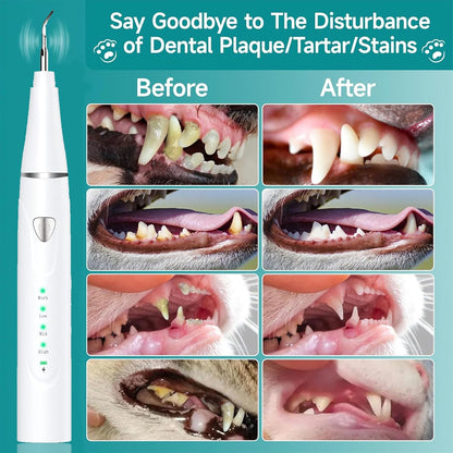 Plaque Remover for Teeth, Pet Ultrasonic Cleaner, Dog Plaque and Tartar Remover with LED Light, Dog Teeth Cleaning Dental Care Kit for Tartar and Stains, Suitable for Dogs and Cats (Black)