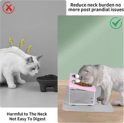 Upgraded Elevated Cat Bowls with Food Mat,15°Tilted Stand Anti Vomiting Raised Cat Dishes for Food and Water,2 Stainless Steel Bowls for Cats and Puppy