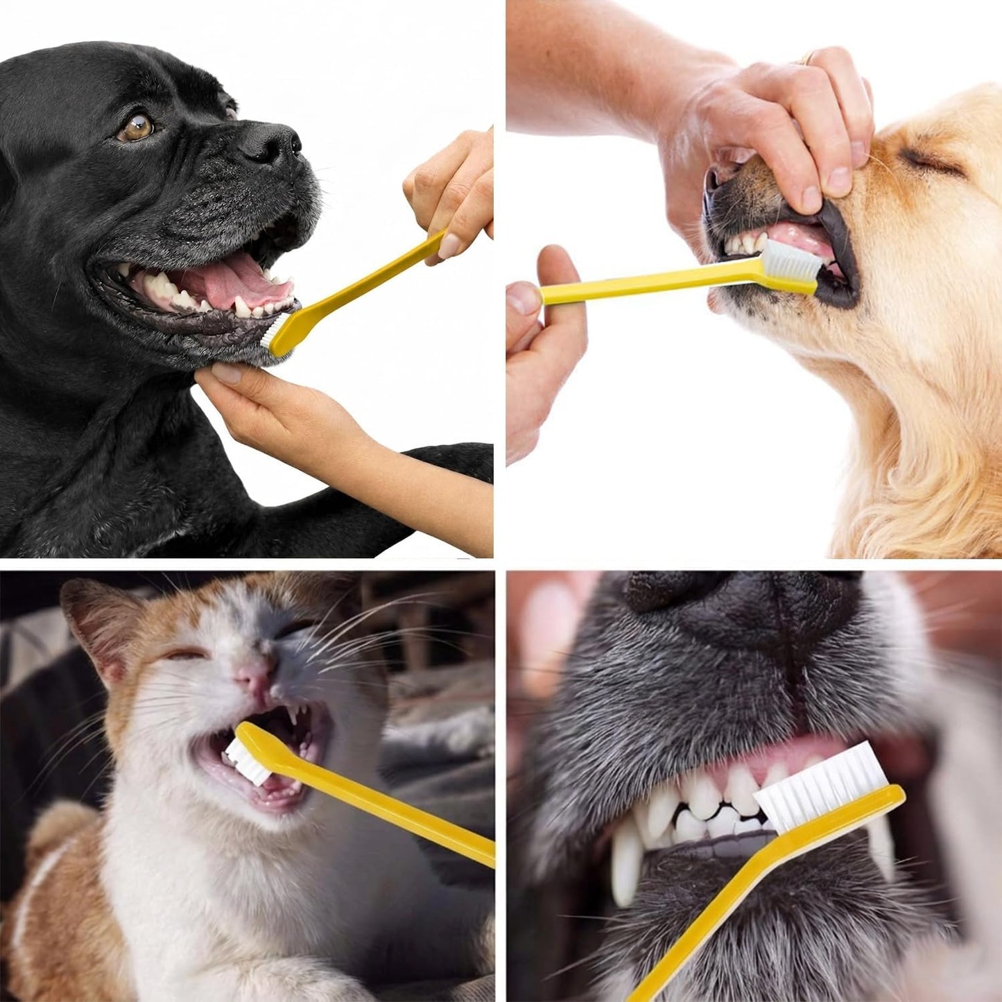 Pet Republique Dog Toothbrush Set of 6 – Dual Headed Dental Hygiene Brushes for Small to Large Dogs, Cats, and Most Pets