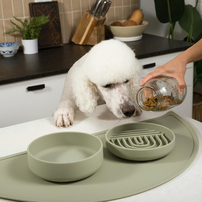 Should We Go? Slow Feeder for Dogs & Puppies, The Slowdown Bowl Silicone Slow Eating, Modern Lick Mat Design, Reduces Gulping, Fits 2 Cups, 7.5” Across x 1.5” Tall, Mealtime Challenge, Medium-Blush