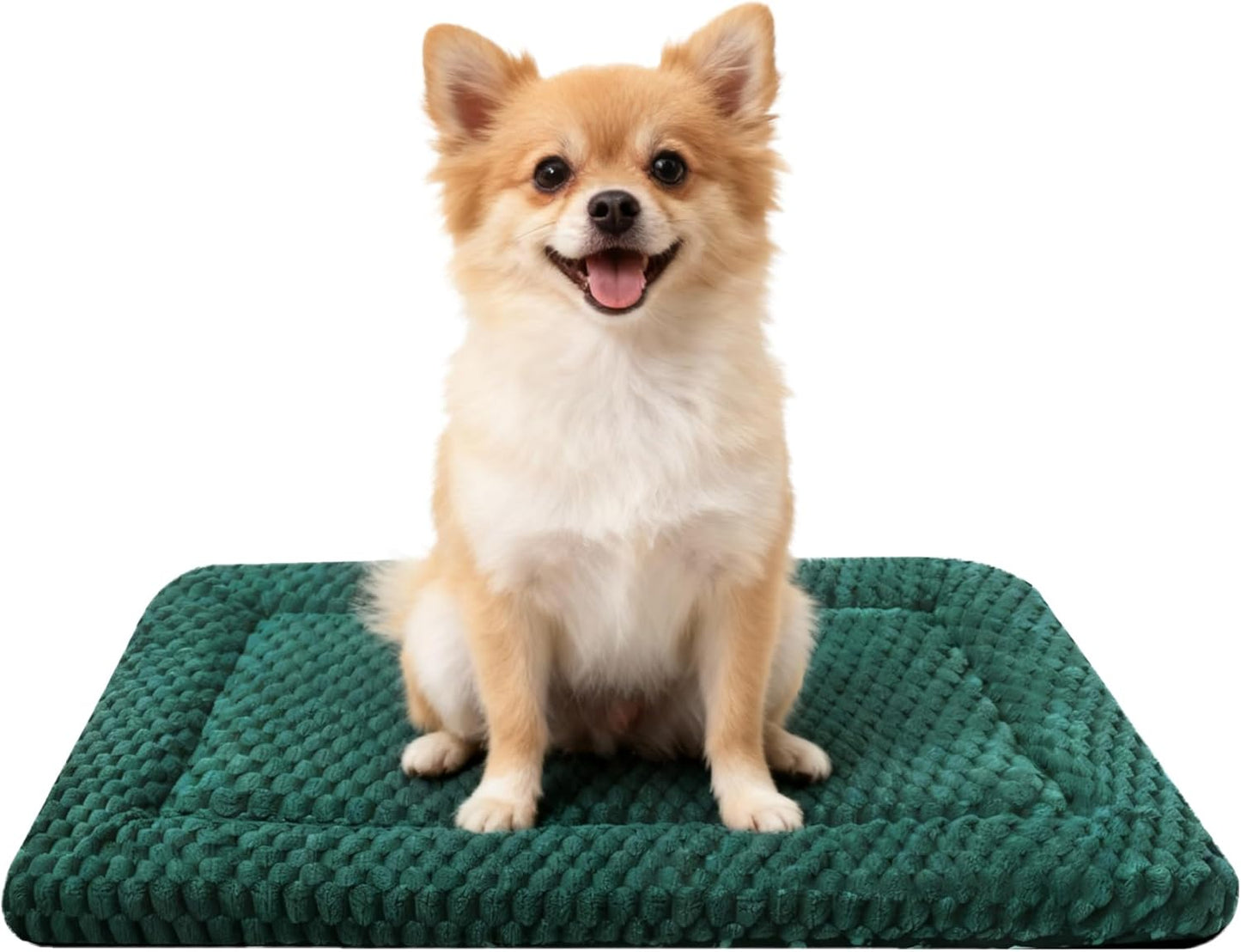 Dog Bed Mat, Reversible Crate Pad & Cute Dog Bed - Machine Washable Kennel Mat with Ultra Soft for Small Dogs (Cool/Warm), 24" x 18", Grey&Star