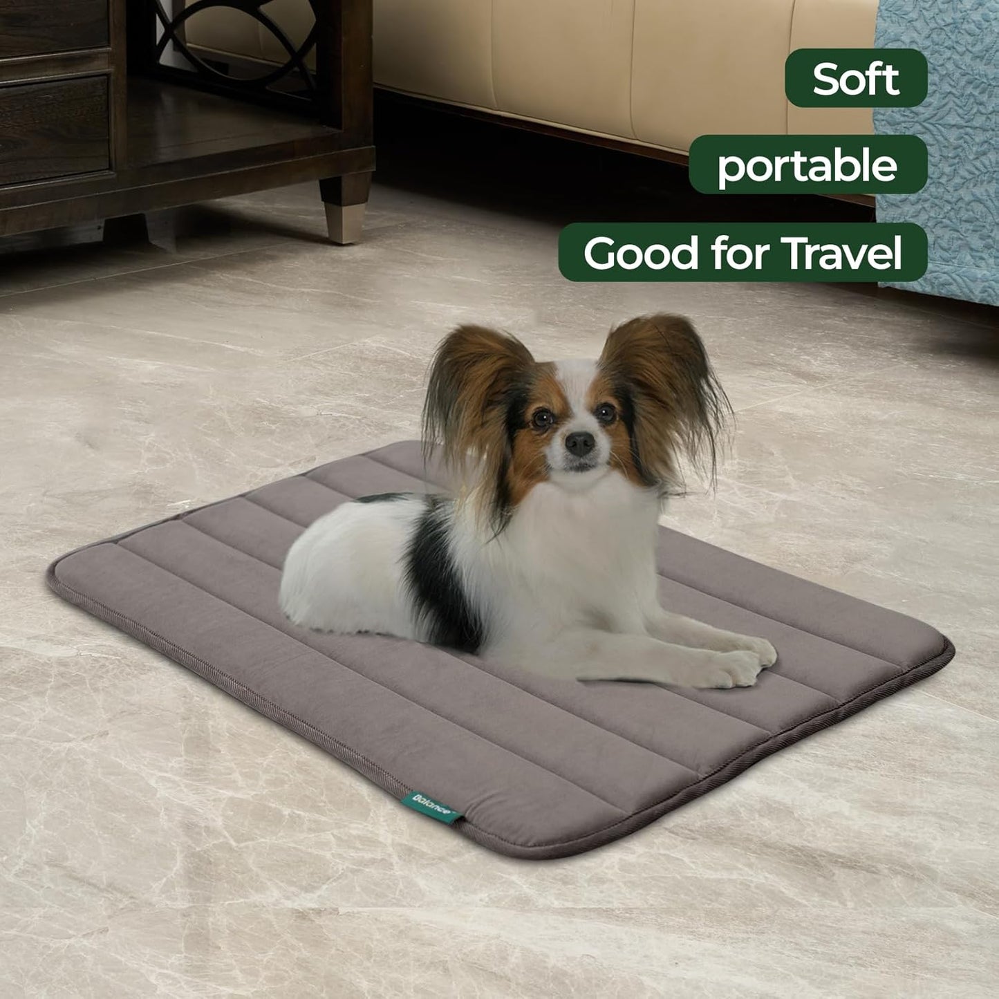 BALANCE Dog Crate Pad, Dog Foam Crate Mat Kennel Pad, Washable Water-Resistant Pet Bed Flat Dogs Cage Mat for Small Dogs