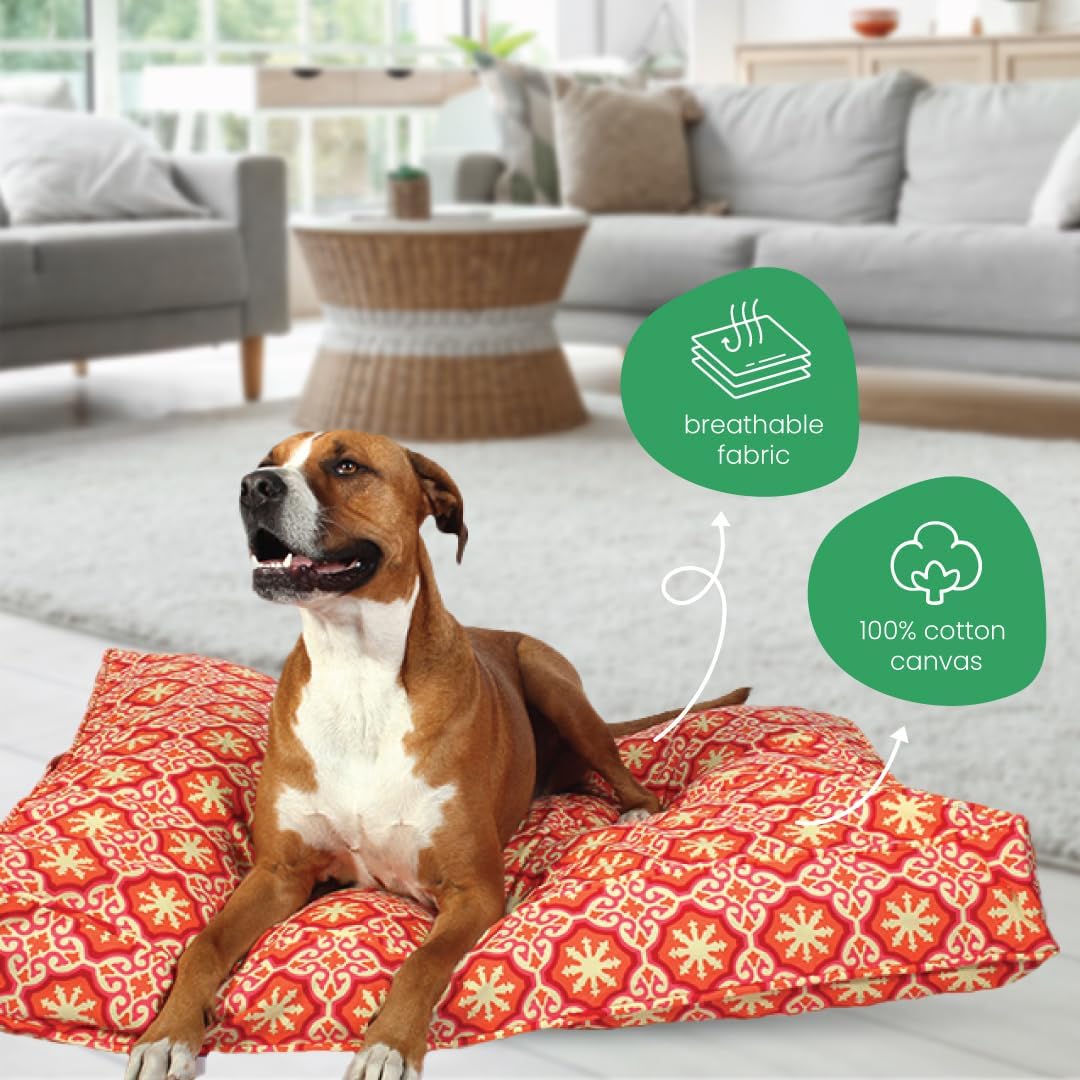 Molly Mutt Medium to Large Dog Bed Cover- Forever Young Print - Measures 27”X36”X5’’ - 100% Cotton - Durable - Breathable - Sustainable - Machine Washable Dog Bed Cover (Dd82b)