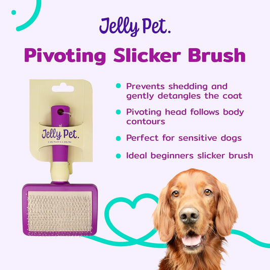 JELLY PET Pivoting Slicker Brush, Brush Head Moves, Soft Pin Slicker, Protects Skin, Prevents Irritation, Effortless Brushing of Shedding Dogs, Detangles and Desheds