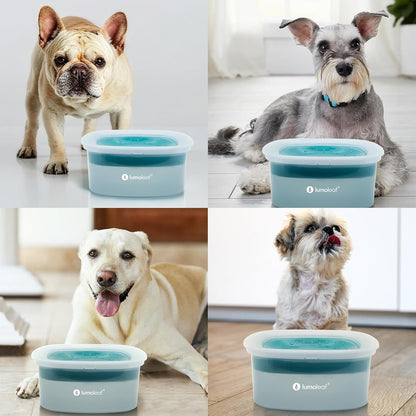 LumoLeaf No Spill Water Bowl for Dogs, Slow Feeder for Messy Drinkers, Drip-Free, Splash-Proof Design (Grey, 35oz)