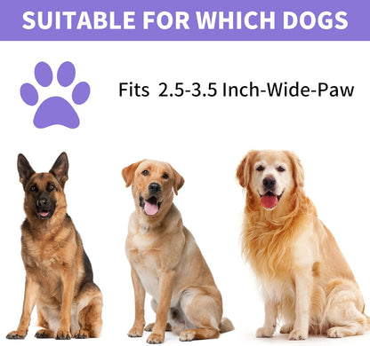Professional 7 in 1 Dog Paw Cleaner for Dogs & Cats - Includes 1 Portable Paw Washer, 1 Bath Brush, 2 Dog Toothbrushes and 3 Absorbent Towels Note: Fits Paws up to 2 Inches Wide (Small, Blue)