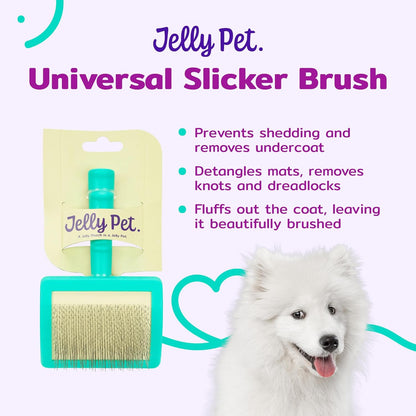 Jelly Pet Universal Slicker Brush for Dogs, Dog Grooming Brush, Remove Tangles and Dead Undercoat, Tuffer Than Tangles, Maltese Shi-Tzu Poodle Bichon, Firm Pins, Teal, Small