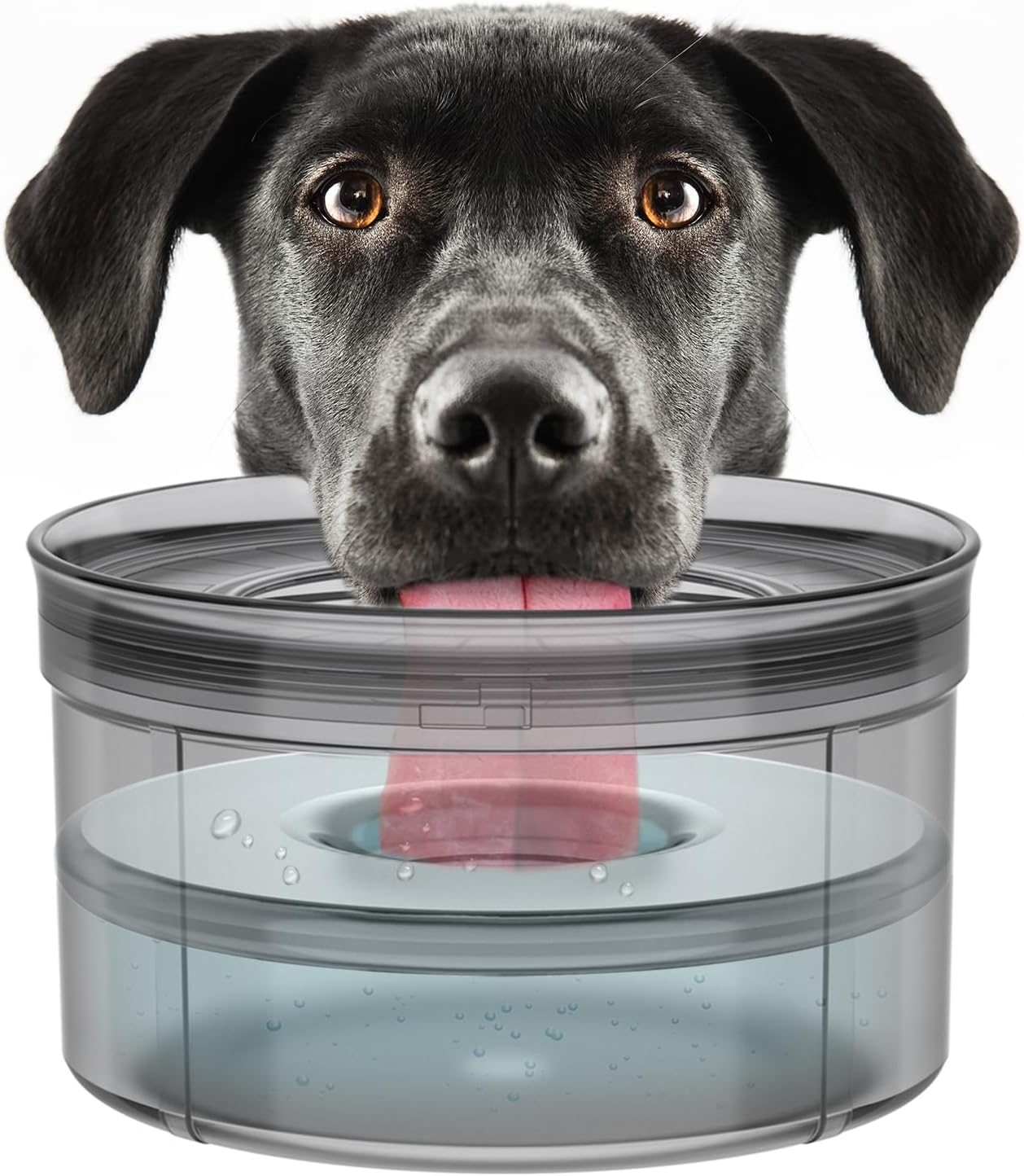 Techphardo 1Gallon No Spill Dog Water Bowl-3.8L Large Capacity, BPA-Free, Anti-Splash & Anti-Digging Design with Non-Slip Base for Messy Drinkers