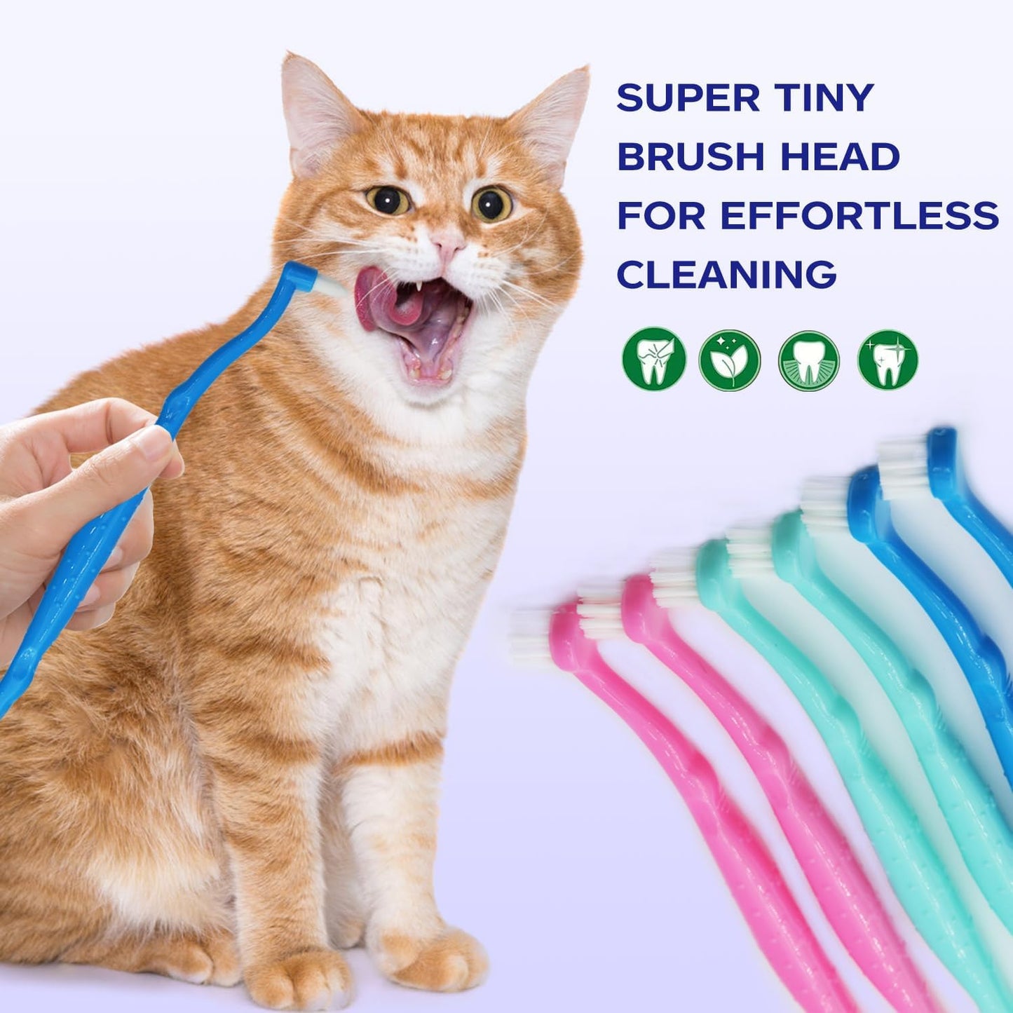 Pet Dental Care Set, Dual-Sided Toothbrush and Finger Brush, for Dogs and Cats (Black, Small Cone)