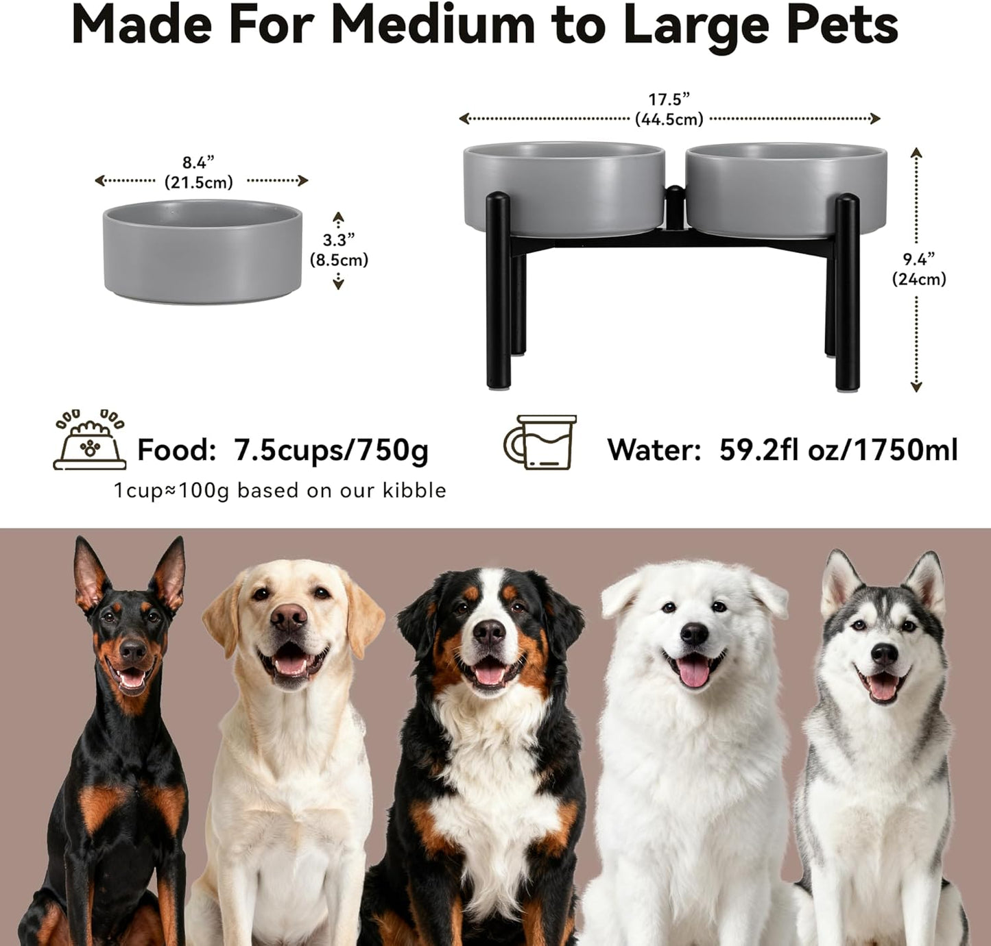 Raised Ceramic Dog Bowl Set - Elevated Double Dishes with Stainless Steel Stand - Food and Water Bowls for Small to Medium Dogs - Each Holds 3.5 Cups (29.57 fl oz) - White