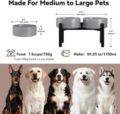 Raised Ceramic Dog Bowl Set - Elevated Double Dishes with Stainless Steel Stand - Food and Water Bowls for Small to Medium Dogs - Each Holds 3.5 Cups (29.57 fl oz) - White