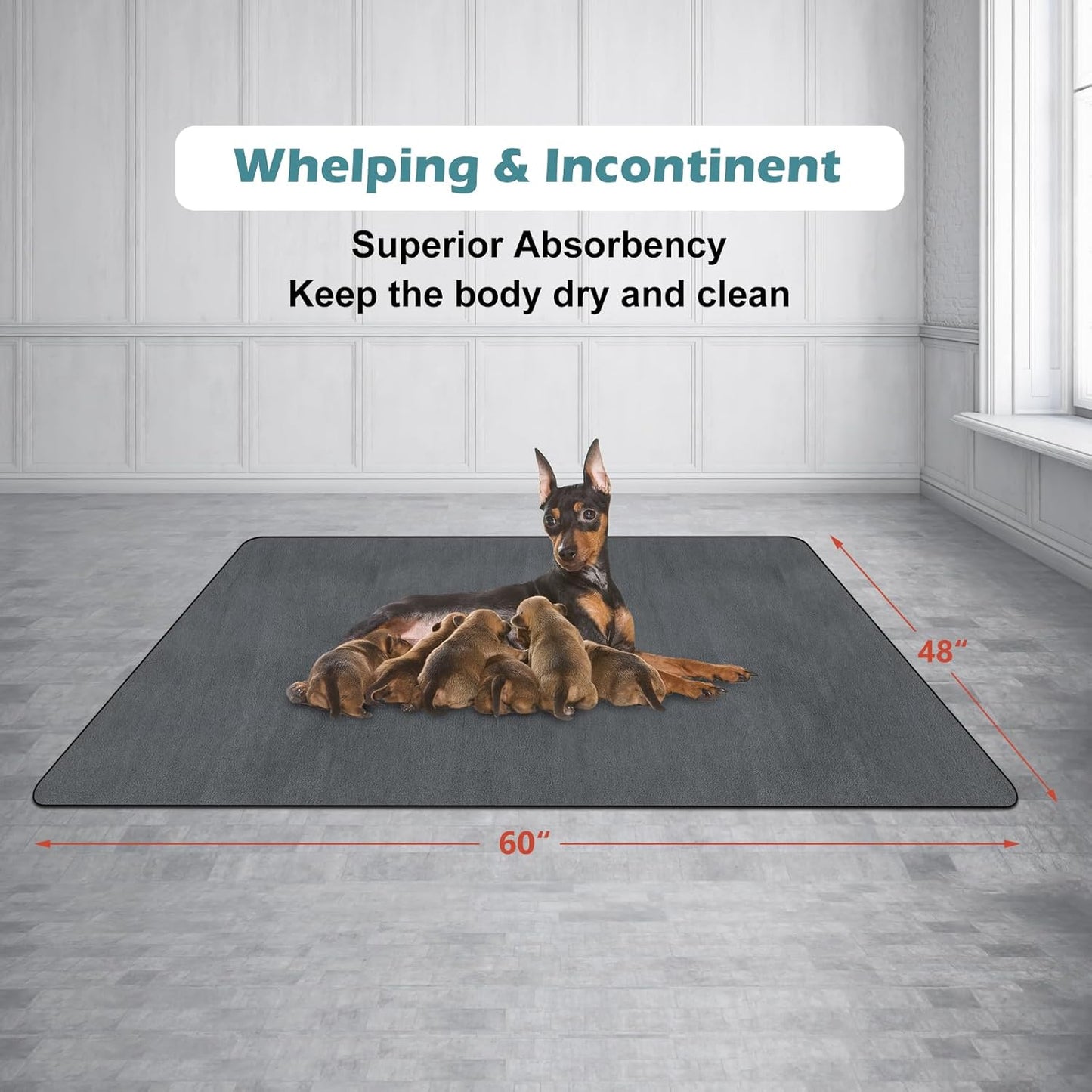 INVENHO Washable Pee Pads for Dogs 72"x72" Reusable Dog Pads Extra Large Upgrade Non-Slip Dog Pee Pads Heavy Absorbency Puppy Pee Pads Quick Dry Whelping Pads/Waterproof Puppy Training Pad
