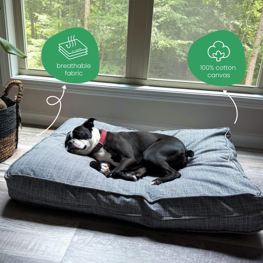 Molly Mutt Medium to Large Dog Bed Cover- Forever Young Print - Measures 27”X36”X5’’ - 100% Cotton - Durable - Breathable - Sustainable - Machine Washable Dog Bed Cover (Dd82b)