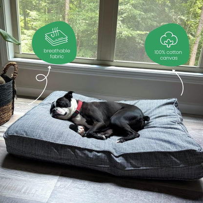 Molly Mutt Medium to Large Dog Bed Cover- Forever Young Print - Measures 27”X36”X5’’ - 100% Cotton - Durable - Breathable - Sustainable - Machine Washable Dog Bed Cover (Dd82b)