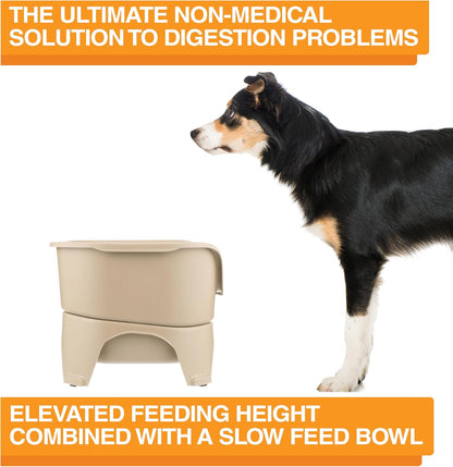 Neater Feeder Express Mess Proof Dog Bowls Elevated for Small Breeds under 15 Lb, Made in USA, No Spill Raised Dog Food Bowl Stand, Stainless Steel Food and Water Bowl Set, Feeding Station, Cappuccino