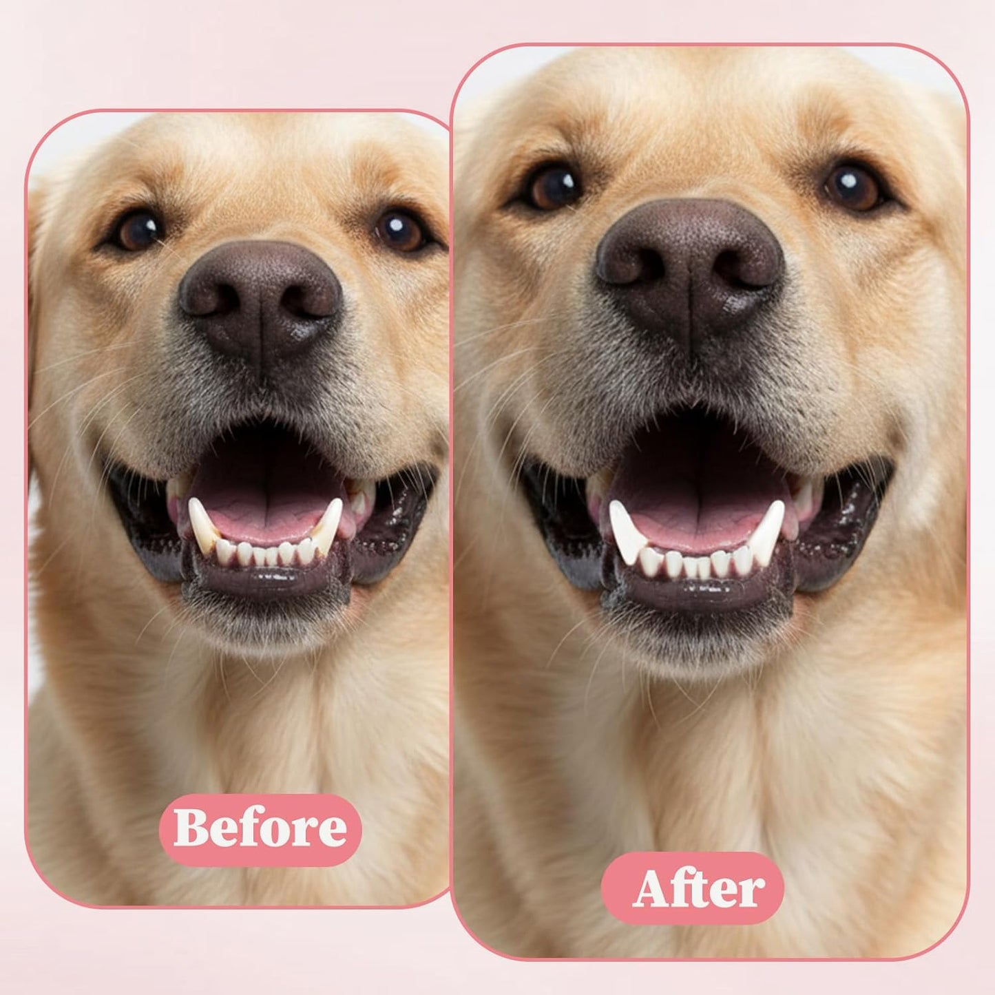 Cat Tooth Brush, 2PCS Small Dog Toothbrush Puppy Pet Toothbrush Cat Tooth Brush Dog Finger Toothbrushes Small Breed Soft Mini 13°Curved Head Teeth Brushes for Puppy Kitten Dogs, Pink