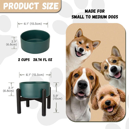 Raised Ceramic Dog Bowl Set - Elevated Double Dishes with Stainless Steel Stand - Food and Water Bowls for Small to Medium Dogs - Each Holds 3.5 Cups (29.57 fl oz) - White