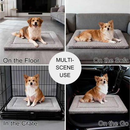 Dog Bed Mat, Reversible Crate Pad & Cute Dog Bed - Machine Washable Kennel Mat with Ultra Soft for Small Dogs (Cool/Warm), 24" x 18", Grey&Star