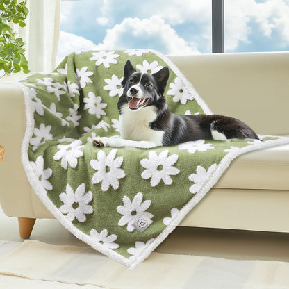 Luciphia Waterproof Pet Blanket for Medium Large Dogs Washable Fluffy Thick Jacquard Shag Fleece Warm Sherpa 3D Textured Flower Print for Cats Puppy Couch Protection (Green,40x28 inches)