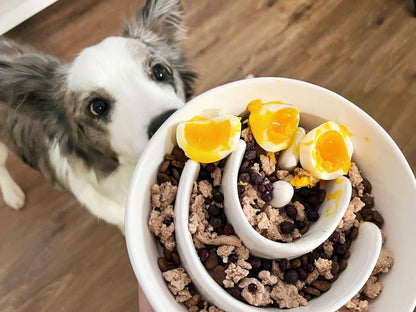 Slow Feeder Dog Bowl - 1.5 Cups Ceramic Puzzle Feeder for Small & Medium Breeds, Maze Design Bowl for Puppy & Fast Eaters, White Pet Dish to Control Eating Speed
