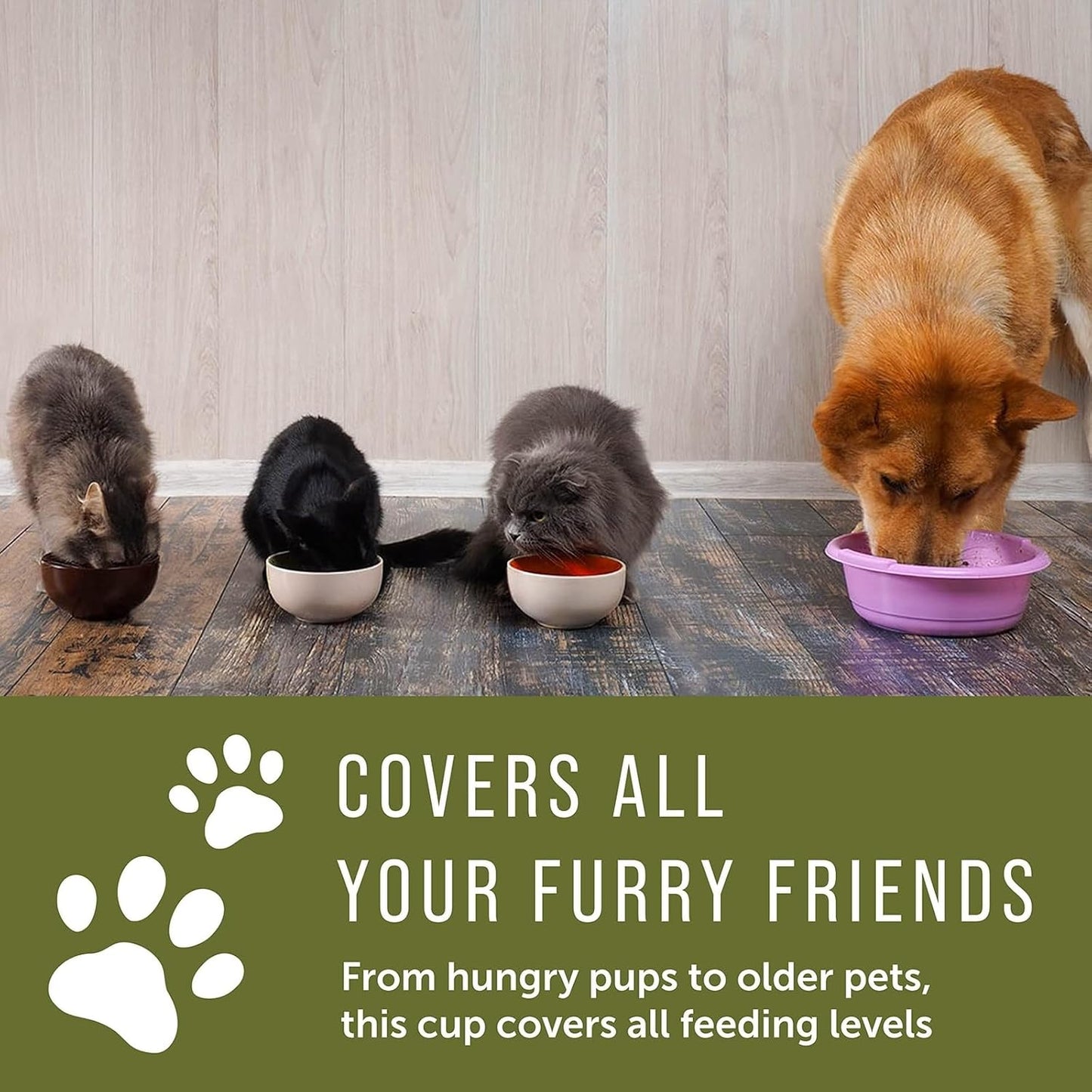 Pet Food Measuring Cups for Dogs - 2-Pack, Black, 2-Cup Capacity - Adjustable Dog Food Scoop - Dishwasher-Safe Plastic with Secure Slide Disk