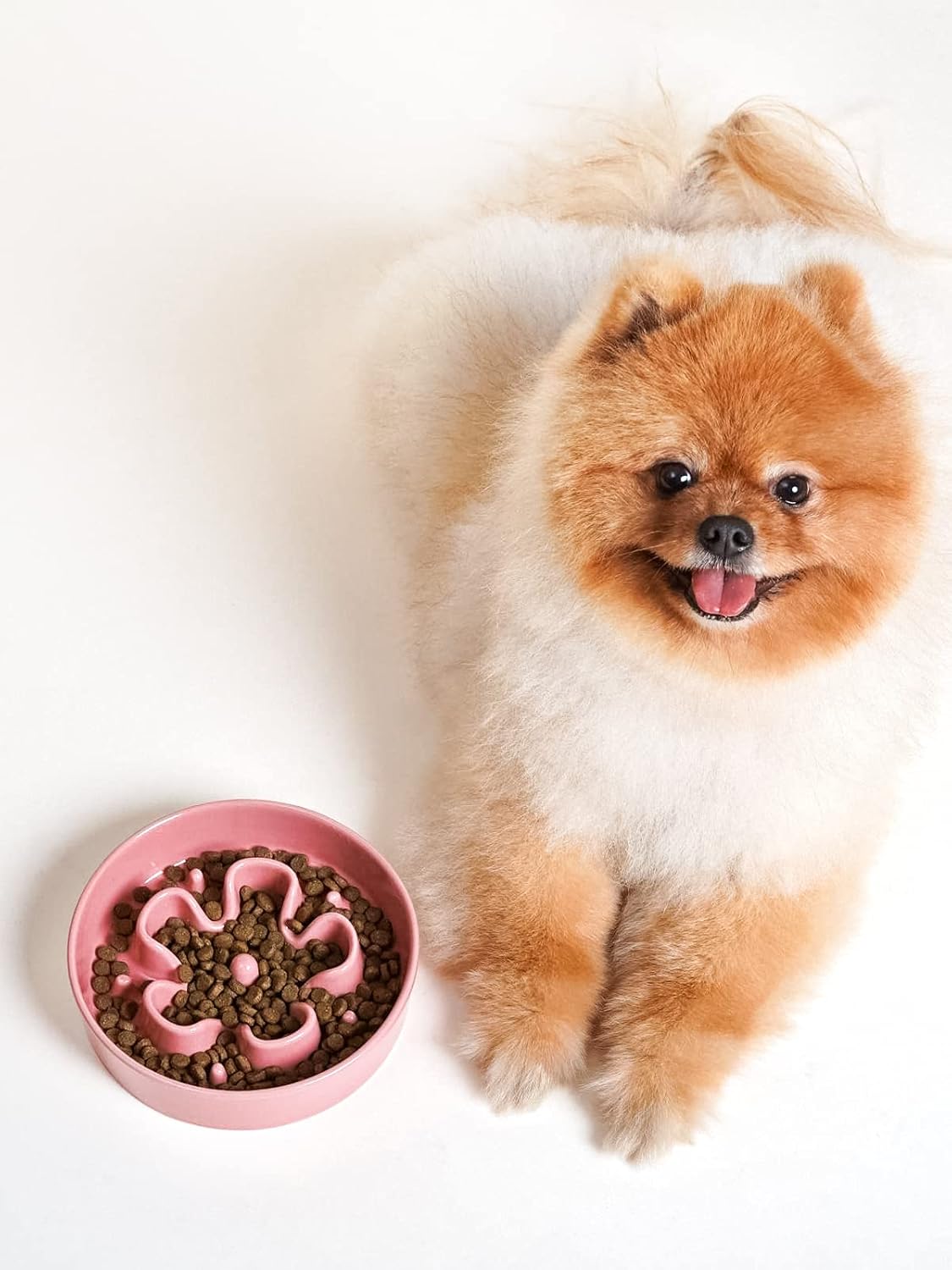 LE TAUCI Dog Bowls Slow Feeder Ceramic, 1.5 Cup Slow Feeding Bowl for Small and Medium Breed, Puzzle Dog Food Bowl for Fast Eater, Maze Purple