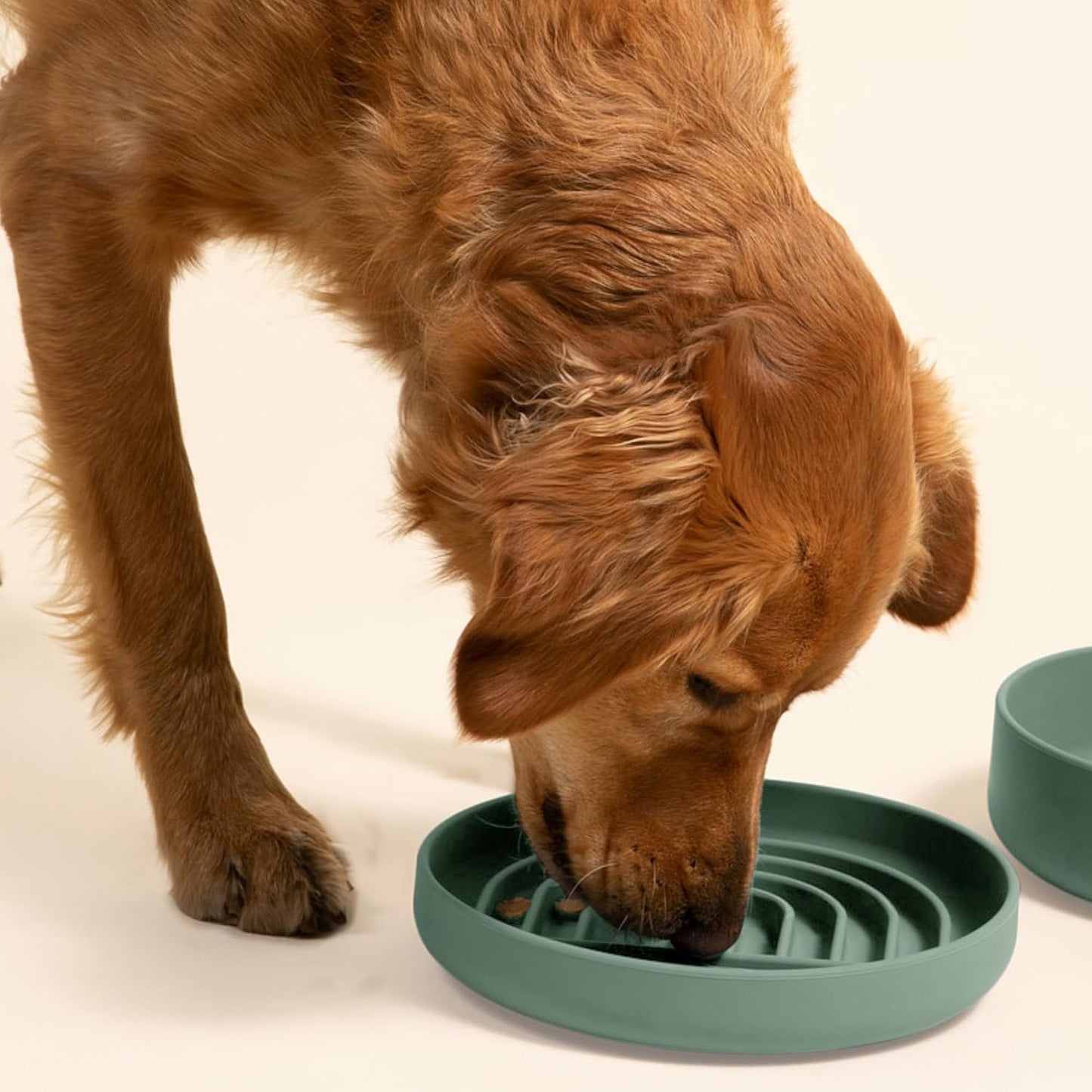 Should We Go? Slow Feeder for Dogs & Puppies, The Slowdown Bowl Silicone Slow Eating, Modern Lick Mat Design, Reduces Gulping, Fits 2 Cups, 7.5” Across x 1.5” Tall, Mealtime Challenge, Medium-Blush