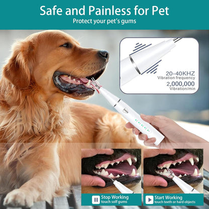 Plaque Remover for Teeth, Pet Ultrasonic Cleaner, Dog Plaque and Tartar Remover with LED Light, Dog Teeth Cleaning Dental Care Kit for Tartar and Stains, Suitable for Dogs and Cats (Black)
