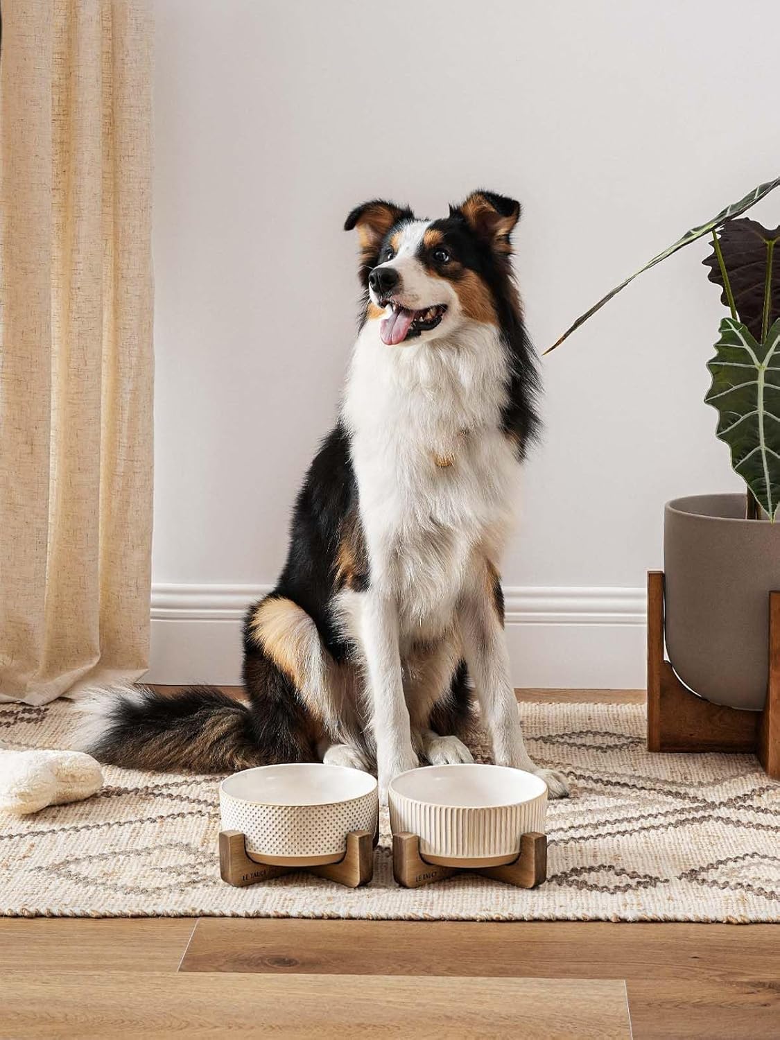 LE TAUCI PET Ceramic Dog and Cat Bowl Set with Acacia Wood Stand - 2 Cup Weighted Non-Slip Food and Water Bowls for Small Dogs & Cats, Lines + Dot