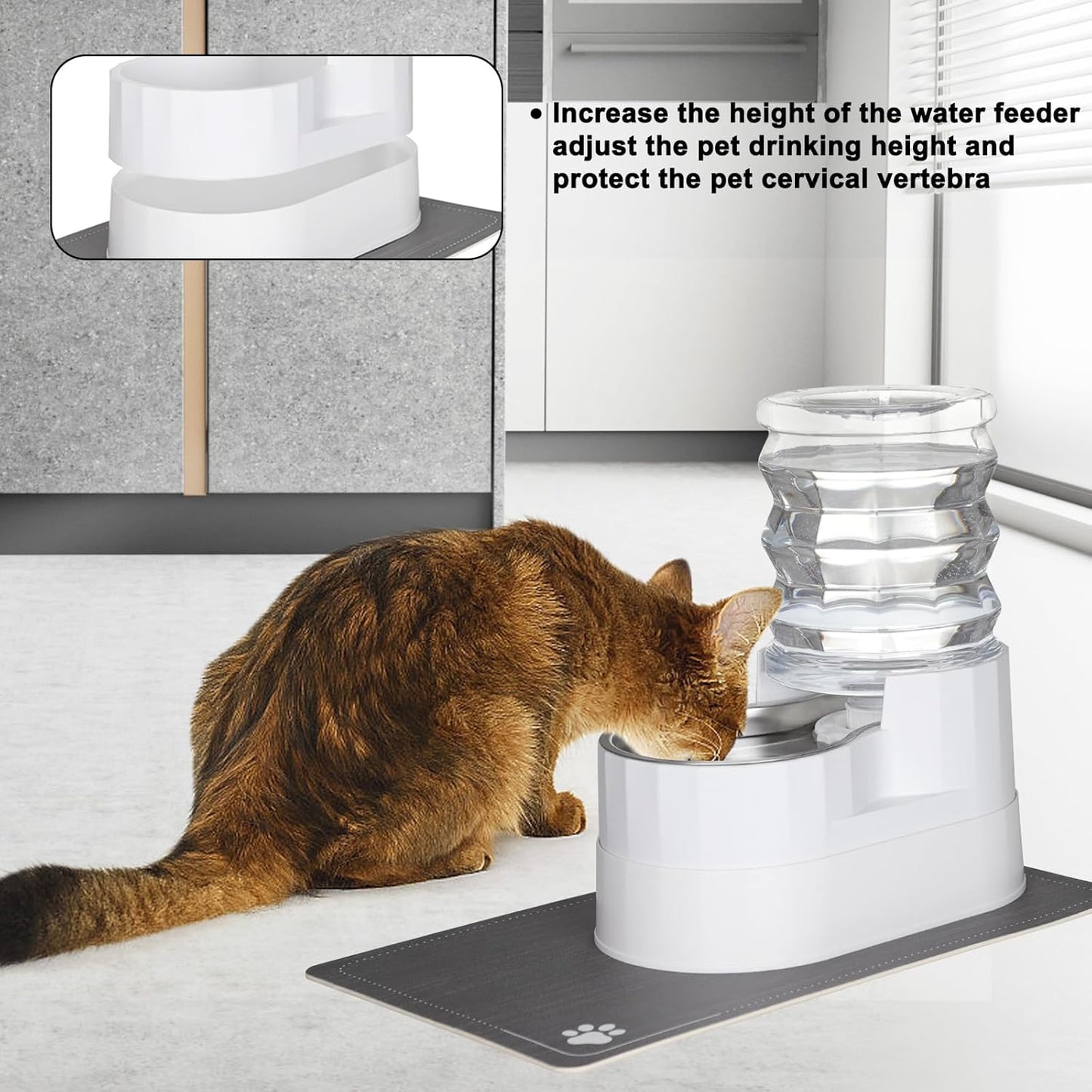 RIZZARI 8L Elevated Pet Water Dispenser – Stainless Steel Gravity Waterer with Auto-Refill Design for Medium and Large Dogs & Senior Pets -Comfortable Drinking Height for Living Rooms,Multi-Pet Homes