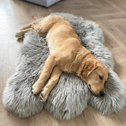 IHAPPYDOG Luxury Faux Fur Orthopedic Dog Bed, Memory Foam Dog Bed for Small, Medium, Large and XL Pets, Fluffy Pet Bed with Waterproof and Washable Cover (White w/Brown Tips, 50"x30")