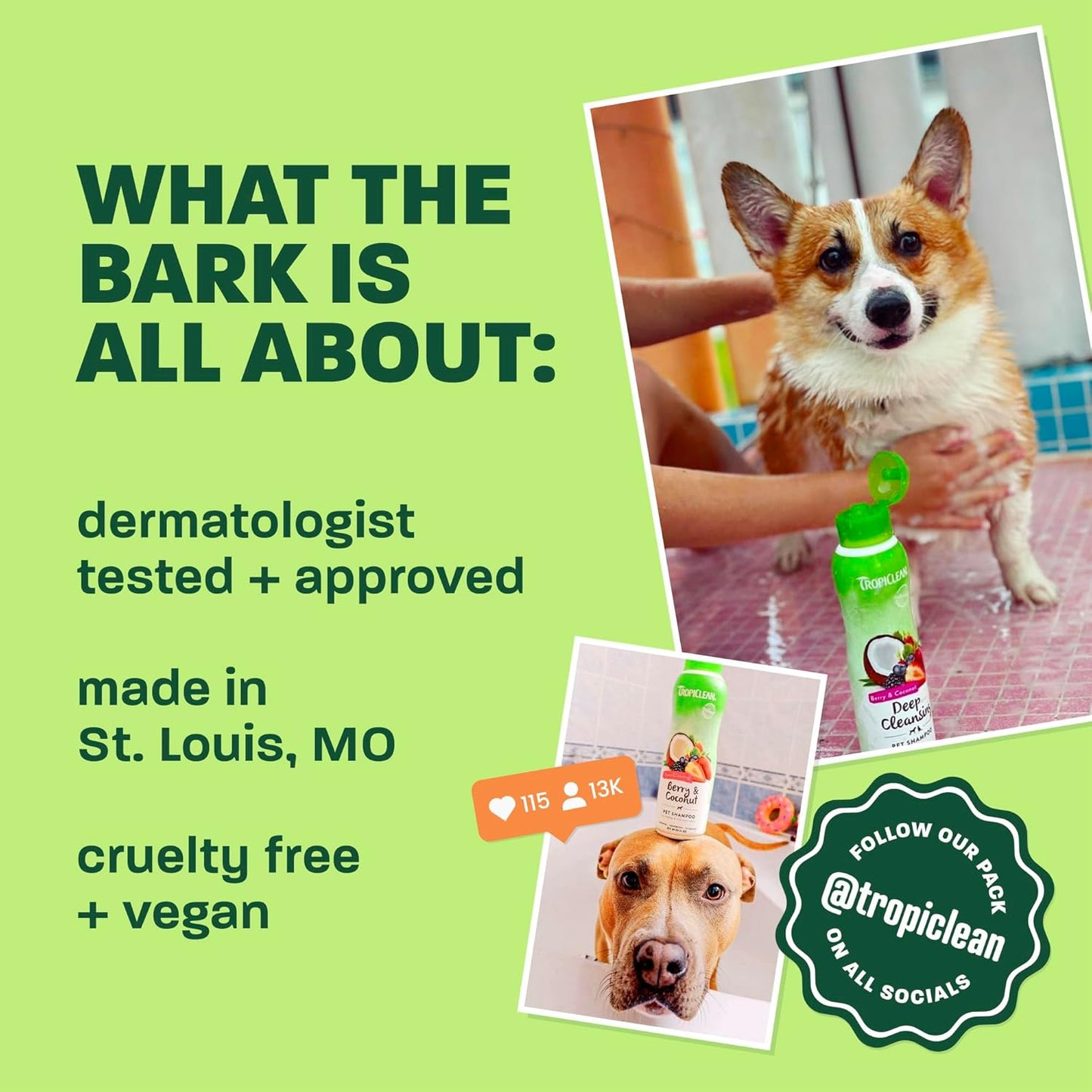 TropiClean Deshedding Dog Shampoo, Fast-Acting Shedding Control & Coat Softener, Puppy Safe, Made in USA, Lime & Coconut Scent, Cat Friendly, 20oz.