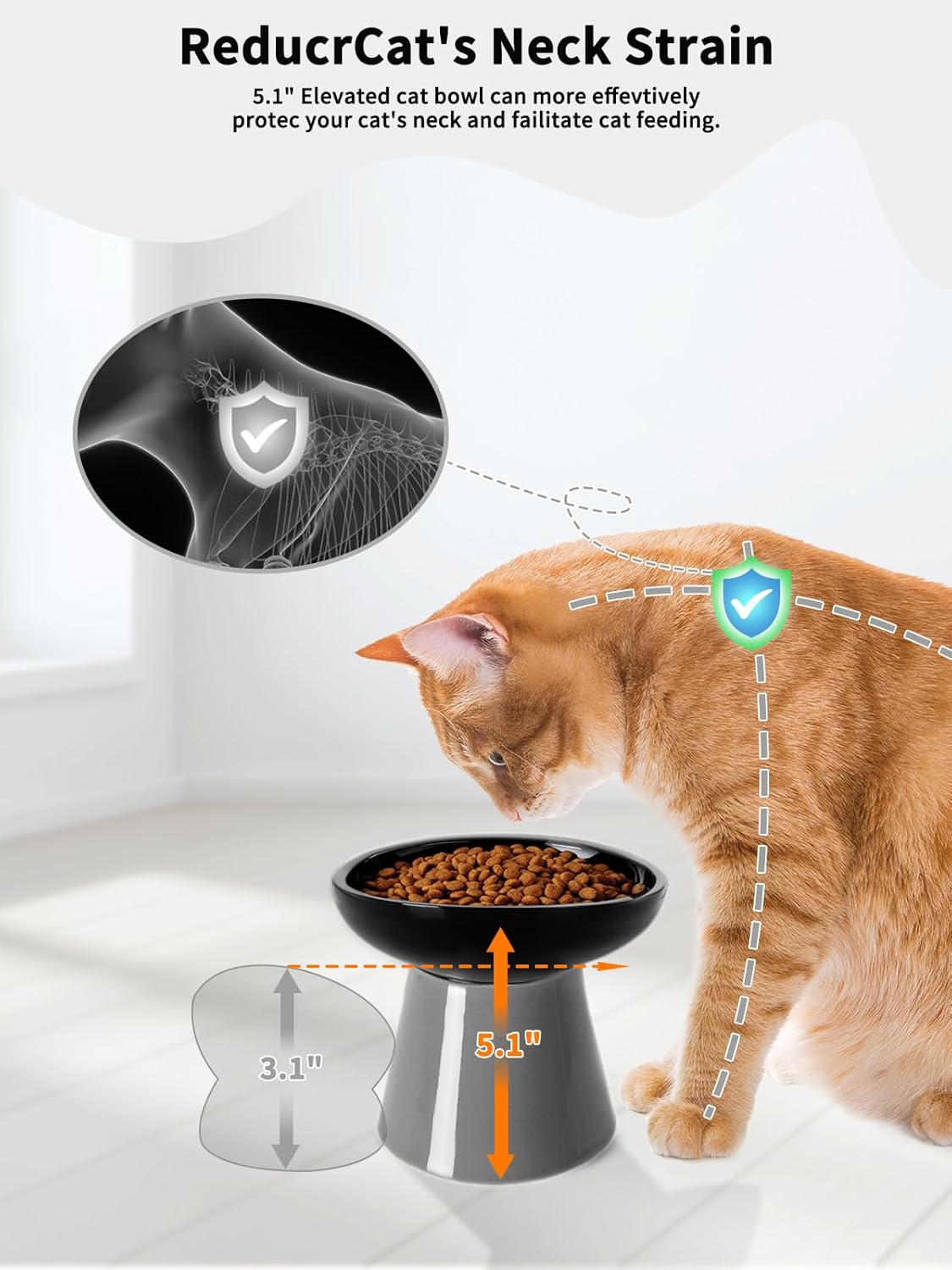 LoeJan Elevated Cat Food and Water Bowls Set, Extra Wide and Raised Ceramic Bowls, Anti-Vomit Whisker-Free Pressure Cat Feeder for Kittens to Adult Cats and Small Dogs (White, Water Bowl)